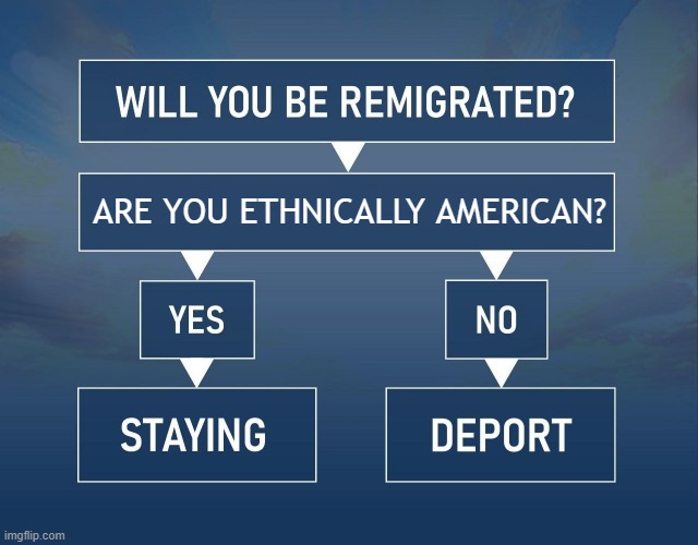 Will you be remigrated? Yes, if you are not ethnically American. Deport! | ARE YOU ETHNICALLY AMERICAN? | image tagged in will you be remigrated,illegal immigration,illegal immigrants,immigration,deportation,barbarian | made w/ Imgflip meme maker