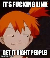 Derp Face Misty | IT'S F**KING LINK GET IT RIGHT PEOPLE! | image tagged in derp face misty | made w/ Imgflip meme maker