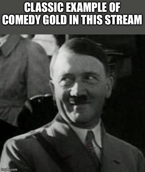 Hitler laugh  | CLASSIC EXAMPLE OF COMEDY GOLD IN THIS STREAM | image tagged in hitler laugh | made w/ Imgflip meme maker