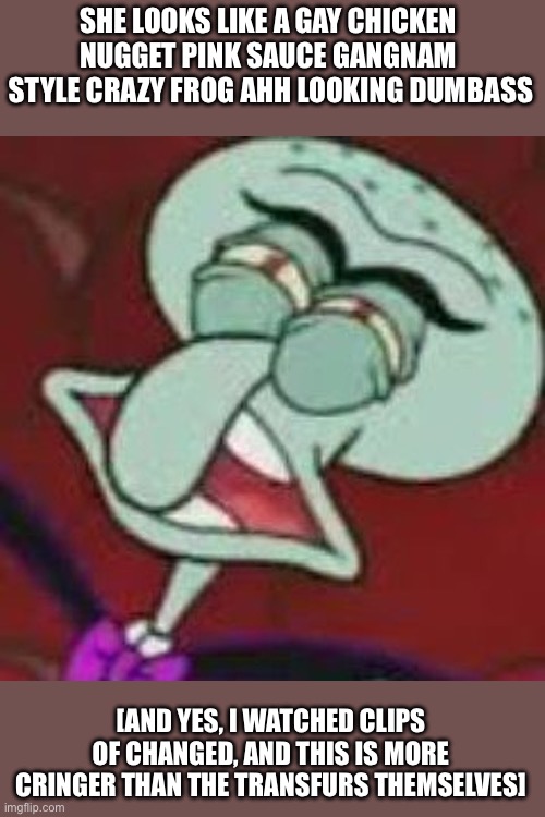Squilliam Gross Face | SHE LOOKS LIKE A GAY CHICKEN 
NUGGET PINK SAUCE GANGNAM 
STYLE CRAZY FROG AHH LOOKING DUMBASS [AND YES, I WATCHED CLIPS OF CHANGED, AND THIS | image tagged in squilliam gross face | made w/ Imgflip meme maker