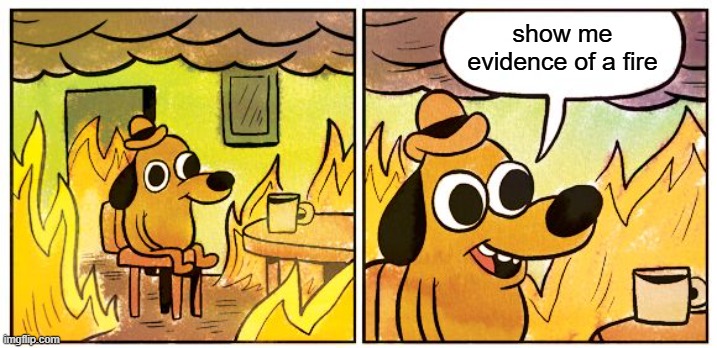 This Is Fine | show me evidence of a fire | image tagged in memes,this is fine,maga | made w/ Imgflip meme maker