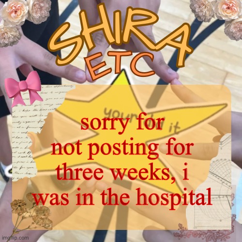 shira’s best temp | sorry for not posting for three weeks, i was in the hospital | image tagged in shira s best temp | made w/ Imgflip meme maker