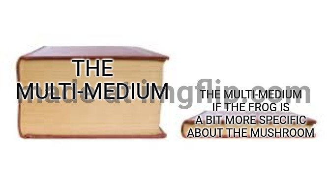 Big book small book | THE MULTI-MEDIUM; THE MULTI-MEDIUM IF THE FROG IS A BIT MORE SPECIFIC ABOUT THE MUSHROOM | image tagged in big book small book,multi medium,gaming | made w/ Imgflip meme maker