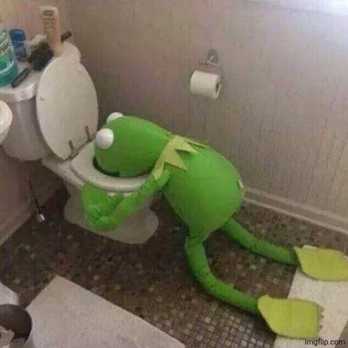 kermit the frog vomiting in toilet | image tagged in kermit the frog vomiting in toilet | made w/ Imgflip meme maker