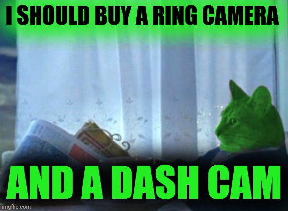 I Should Buy a Boat RayCat | I SHOULD BUY A RING CAMERA AND A DASH CAM | image tagged in i should buy a boat raycat | made w/ Imgflip meme maker