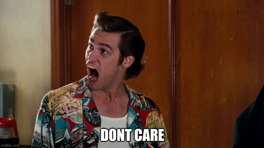 Ace Ventura Alrighty Then | DONT CARE | image tagged in ace ventura alrighty then | made w/ Imgflip meme maker