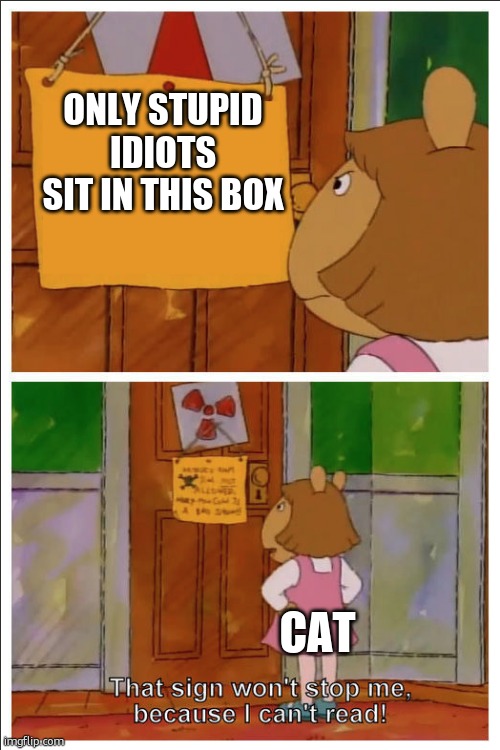 ONLY STUPID IDIOTS SIT IN THIS BOX CAT | image tagged in this sign won't stop me because i cant read | made w/ Imgflip meme maker