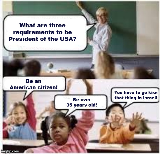 You don't *HAVE* to...unless you want to keep being President | What are three requirements to be President of the USA? Be an American citizen! Be over 35 years old! You have to go kiss that thing in Israel! | image tagged in three branches | made w/ Imgflip meme maker