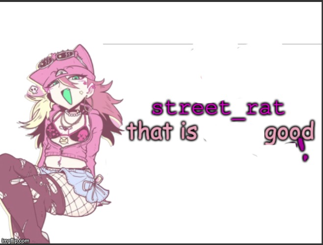 NO STREET RAT | image tagged in no street rat | made w/ Imgflip meme maker