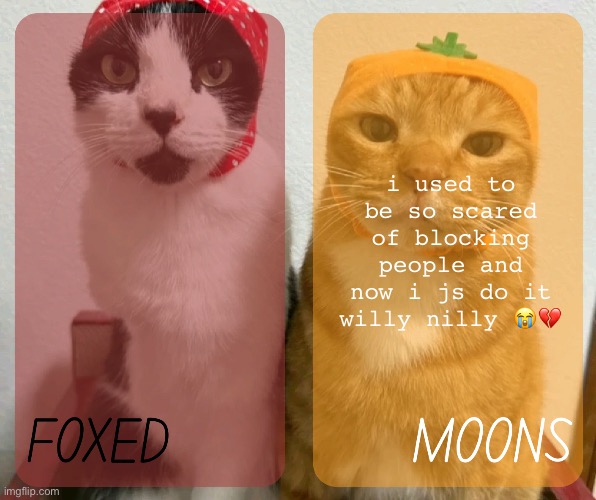 what happened to me | i used to be so scared of blocking people and now i js do it willy nilly 😭💔 | image tagged in foxed and moons kitty temp 2 | made w/ Imgflip meme maker
