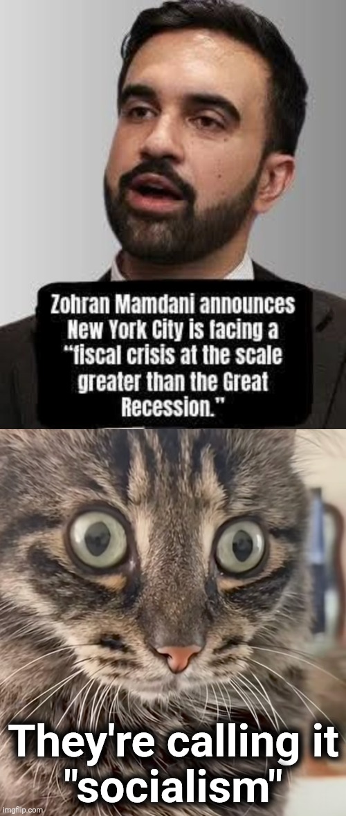An unprecedented calamity | They're calling it
"socialism" | image tagged in memes,new york city,zohran mamdani,socialism,democrats,financial crisis | made w/ Imgflip meme maker
