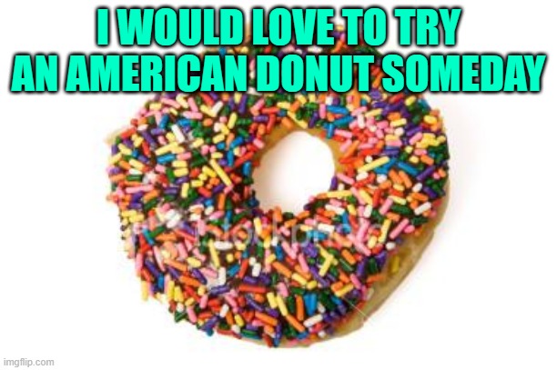 donut | I WOULD LOVE TO TRY AN AMERICAN DONUT SOMEDAY | image tagged in donut | made w/ Imgflip meme maker