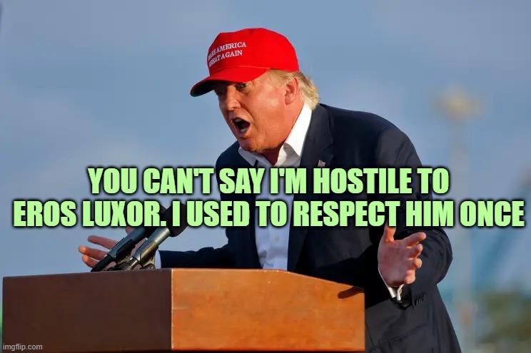 DONALD TRUMP MAGA HAT | YOU CAN'T SAY I'M HOSTILE TO EROS LUXOR. I USED TO RESPECT HIM ONCE | image tagged in donald trump maga hat | made w/ Imgflip meme maker