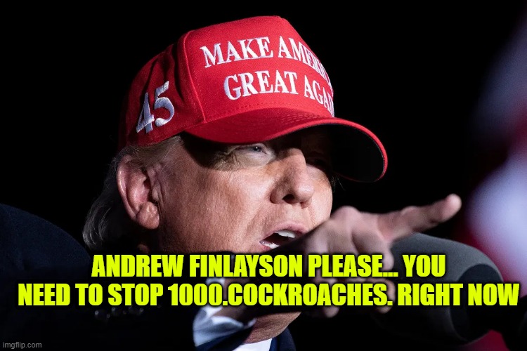 D. TRUMP MAGA HAT | ANDREW FINLAYSON PLEASE... YOU NEED TO STOP 1000.COCKROACHES. RIGHT NOW | image tagged in d trump maga hat | made w/ Imgflip meme maker