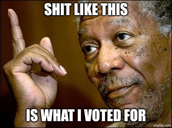 This Morgan Freeman | SHIT LIKE THIS IS WHAT I VOTED FOR | image tagged in this morgan freeman | made w/ Imgflip meme maker