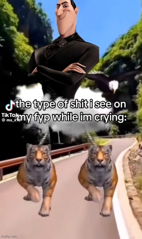 this is too accurate i fear | made w/ Imgflip meme maker