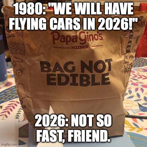 Please support our education systems | 1980: "WE WILL HAVE FLYING CARS IN 2026!"; 2026: NOT SO FAST, FRIEND. | image tagged in papa gino's warning,americans,dumb,flying car,special education | made w/ Imgflip meme maker
