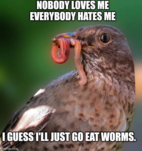 NOBODY LOVES ME
EVERYBODY HATES ME; I GUESS I'LL JUST GO EAT WORMS. | image tagged in birds with threatening auras | made w/ Imgflip meme maker