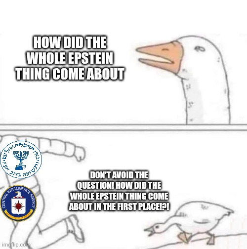 Goose Chase | HOW DID THE WHOLE EPSTEIN THING COME ABOUT; DON'T AVOID THE QUESTION! HOW DID THE WHOLE EPSTEIN THING COME ABOUT IN THE FIRST PLACE!?! | image tagged in goose chase,counter-intelligence | made w/ Imgflip meme maker