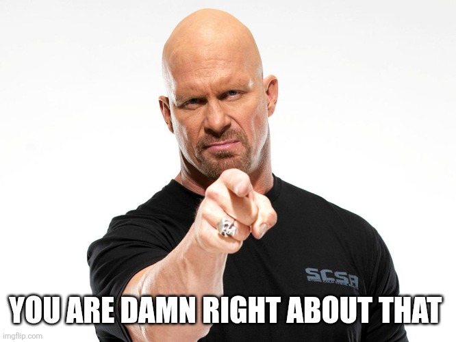 Steve Austin | YOU ARE DAMN RIGHT ABOUT THAT | image tagged in steve austin | made w/ Imgflip meme maker