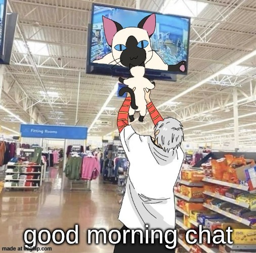 dikui and tianji temp | good morning chat | image tagged in another one of my temps | made w/ Imgflip meme maker