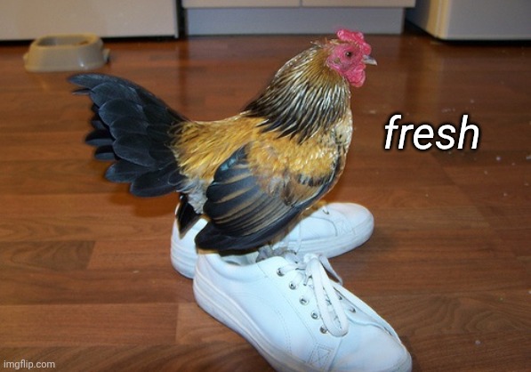 Chicken drip | fresh | image tagged in chicken drip | made w/ Imgflip meme maker