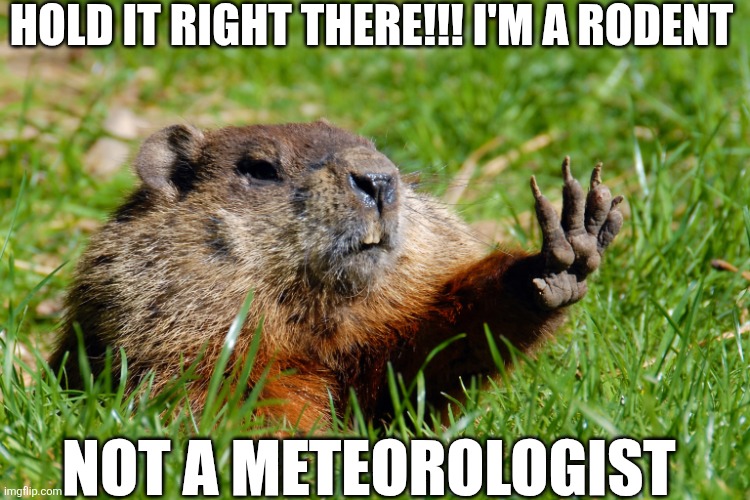 Hold It Right There I'm A Rodent | HOLD IT RIGHT THERE!!! I'M A RODENT; NOT A METEOROLOGIST | image tagged in chrisjoines1 | made w/ Imgflip meme maker