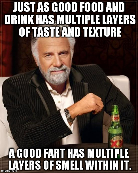 The Most Interesting Man In The World | JUST AS GOOD FOOD AND DRINK HAS MULTIPLE LAYERS OF TASTE AND TEXTURE A GOOD FART HAS MULTIPLE LAYERS OF SMELL WITHIN IT. | image tagged in memes,the most interesting man in the world | made w/ Imgflip meme maker