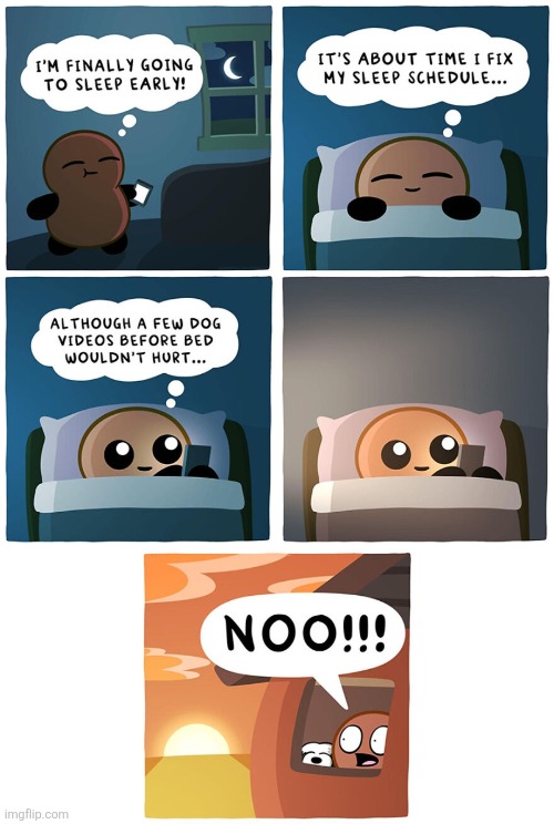 image tagged in comics,tubby nugget,sleep,staying up late,dogs,all nighter | made w/ Imgflip meme maker