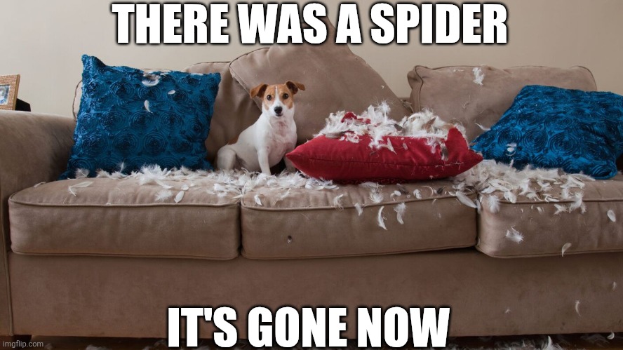 There Was A Spider | THERE WAS A SPIDER; IT'S GONE NOW | image tagged in chrisjoines1 | made w/ Imgflip meme maker