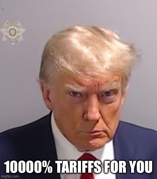 10000% TARIFFS FOR YOU | image tagged in donald trump mugshot | made w/ Imgflip meme maker
