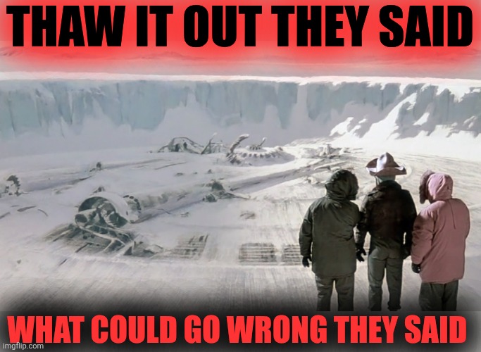 THAW IT OUT THEY SAID WHAT COULD GO WRONG THEY SAID | made w/ Imgflip meme maker