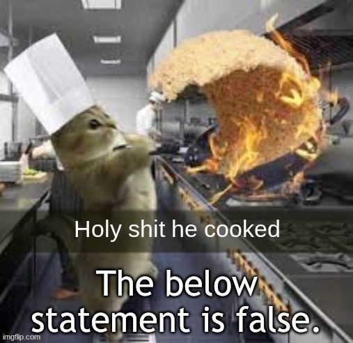Holy shit he cooked | The below statement is false. | image tagged in holy shit he cooked | made w/ Imgflip meme maker