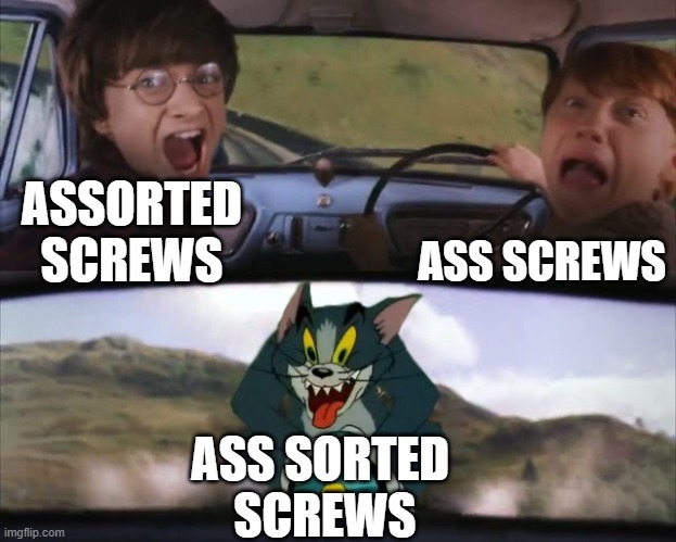 ASSORTED SCREWS ASS SCREWS ASS SORTED 
SCREWS | image tagged in tom chasing harry and ron weasly | made w/ Imgflip meme maker