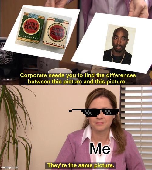 They're The Same Picture Meme | Me | image tagged in memes,they're the same picture | made w/ Imgflip meme maker