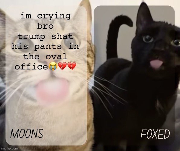 moons and foxed kitty temp | im crying bro trump shat his pants in the oval office😭💔💔 | image tagged in moons and foxed kitty temp | made w/ Imgflip meme maker