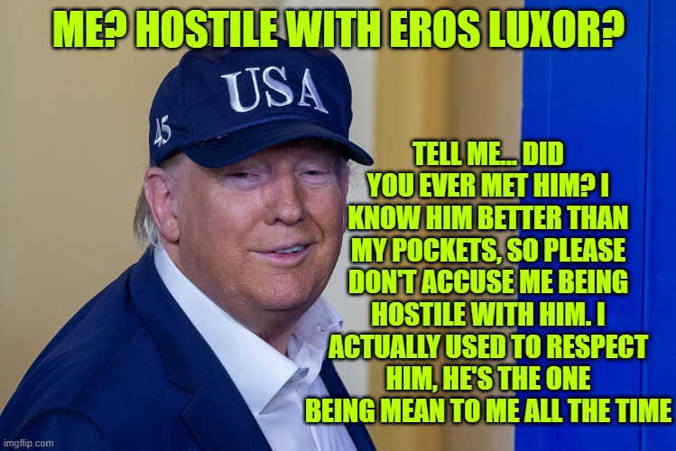 DONALD TRUMP BLUE USA HAT | TELL ME... DID YOU EVER MET HIM? I KNOW HIM BETTER THAN MY POCKETS, SO PLEASE DON'T ACCUSE ME BEING HOSTILE WITH HIM. I ACTUALLY USED TO RESPECT HIM, HE'S THE ONE BEING MEAN TO ME ALL THE TIME; ME? HOSTILE WITH EROS LUXOR? | image tagged in donald trump blue usa hat | made w/ Imgflip meme maker