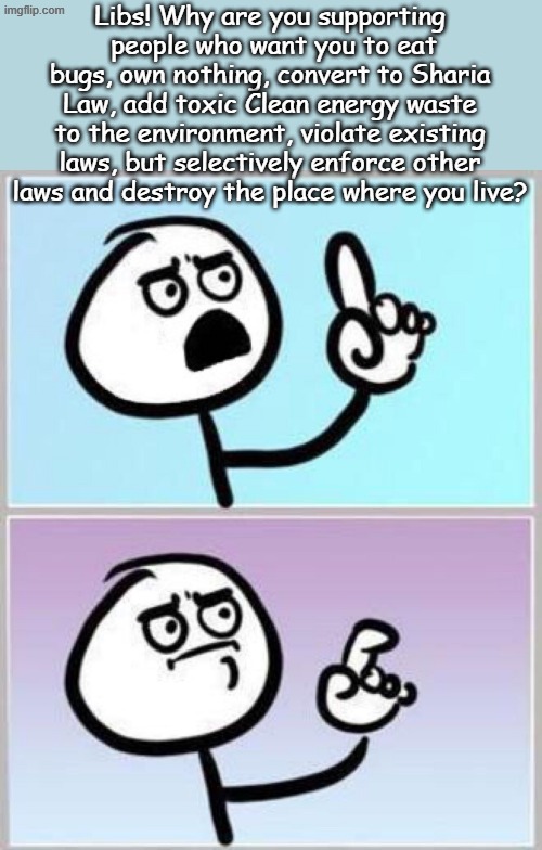 Don't even bother to try to explain anything to a Lib. They're open minded and their brains fell out long ago. | Libs! Why are you supporting  people who want you to eat bugs, own nothing, convert to Sharia Law, add toxic Clean energy waste to the environment, violate existing laws, but selectively enforce other laws and destroy the place where you live? | image tagged in wait what | made w/ Imgflip meme maker