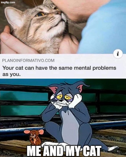 Sad Railroad Tom And Jerry | ME AND MY CAT | image tagged in sad railroad tom and jerry,memes,cats,funny,relatable,this is a joke | made w/ Imgflip meme maker