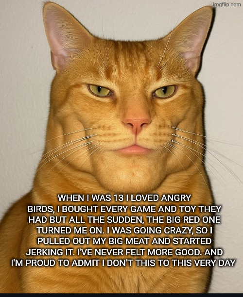 Dih | WHEN I WAS 13 I LOVED ANGRY BIRDS, I BOUGHT EVERY GAME AND TOY THEY HAD BUT ALL THE SUDDEN, THE BIG RED ONE TURNED ME ON. I WAS GOING CRAZY, SO I PULLED OUT MY BIG MEAT AND STARTED JERKING IT. I'VE NEVER FELT MORE GOOD. AND I'M PROUD TO ADMIT I DON'T THIS TO THIS VERY DAY | image tagged in dih | made w/ Imgflip meme maker