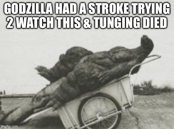 Godzilla had stroke | GODZILLA HAD A STROKE TRYING 2 WATCH THIS & TUNGING DIED | image tagged in godzilla had stroke | made w/ Imgflip meme maker