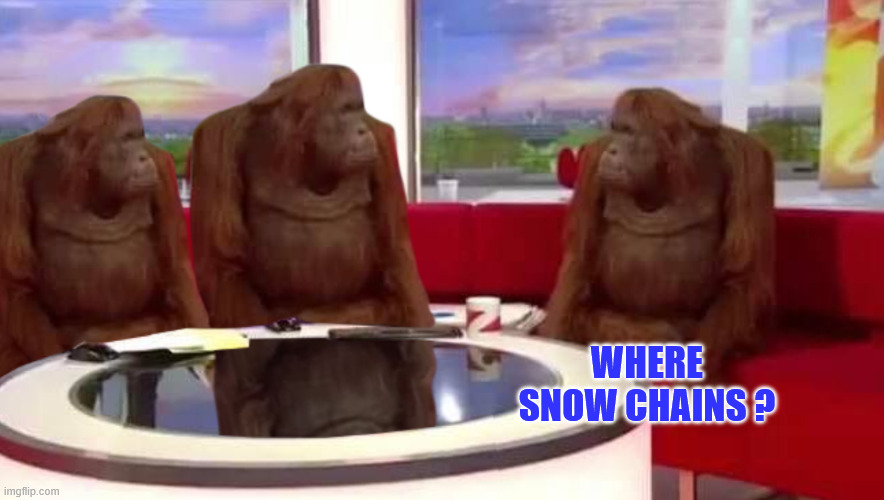 where monkey | WHERE SNOW CHAINS ? | image tagged in where monkey | made w/ Imgflip meme maker