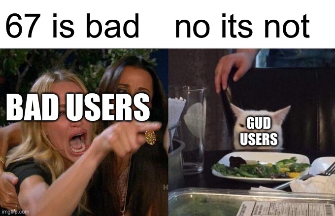 Woman Yelling At Cat Meme | 67 is bad; no its not; BAD USERS; GUD USERS | image tagged in memes,woman yelling at cat | made w/ Imgflip meme maker