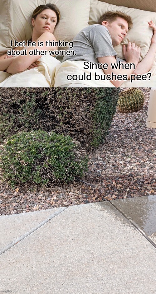I bet he is thinking about other women. Since when could bushes pee? | image tagged in memes,i bet he's thinking about other women | made w/ Imgflip meme maker
