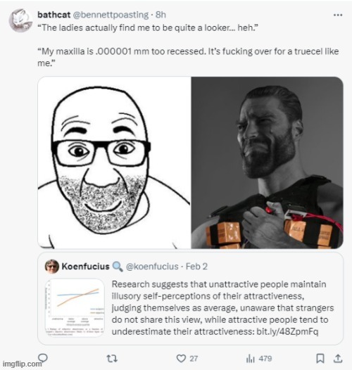 image tagged in bathcat,rmk | made w/ Imgflip meme maker