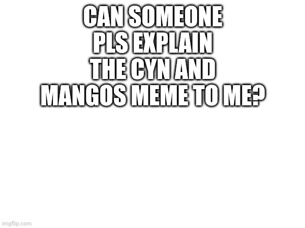 mango | CAN SOMEONE PLS EXPLAIN THE CYN AND MANGOS MEME TO ME? | image tagged in mango | made w/ Imgflip meme maker