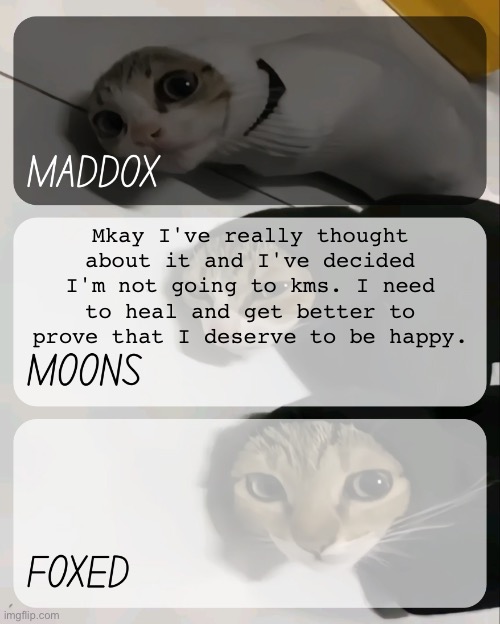 at least not yet | Mkay I've really thought about it and I've decided I'm not going to kms. I need to heal and get better to prove that I deserve to be happy. | image tagged in maddox moons n foxed kitty temp | made w/ Imgflip meme maker