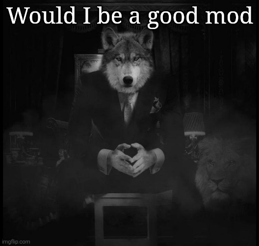 Wolf on a chair | Would I be a good mod | image tagged in wolf on a chair | made w/ Imgflip meme maker