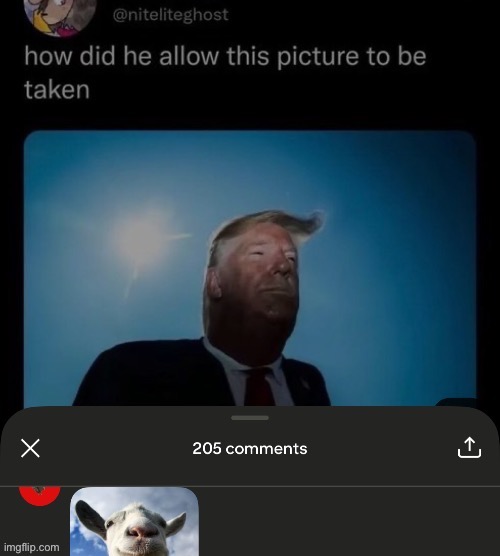 mf looks like a crappost made with photoshop | image tagged in trump,i hate knitters | made w/ Imgflip meme maker