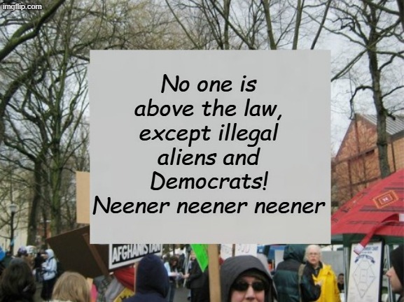 Both of these things are crimes, or should be... | No one is above the law, except illegal aliens and Democrats! Neener neener neener | image tagged in protest | made w/ Imgflip meme maker